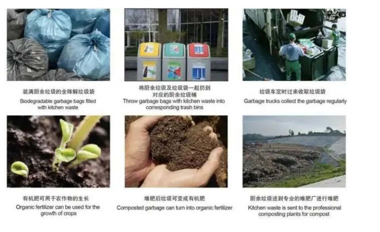 欧盟新包装法规，再生含量、生物降解堆肥、可回收性定义、回收和重复使用目标，引争议