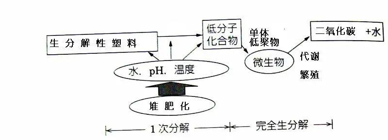 生物降解示意图图片