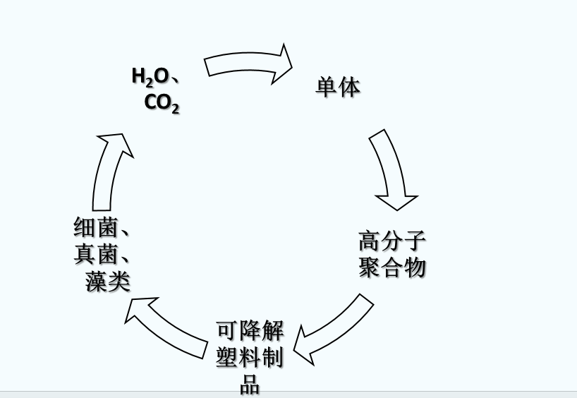 什么是可生物降解塑料？(图1)