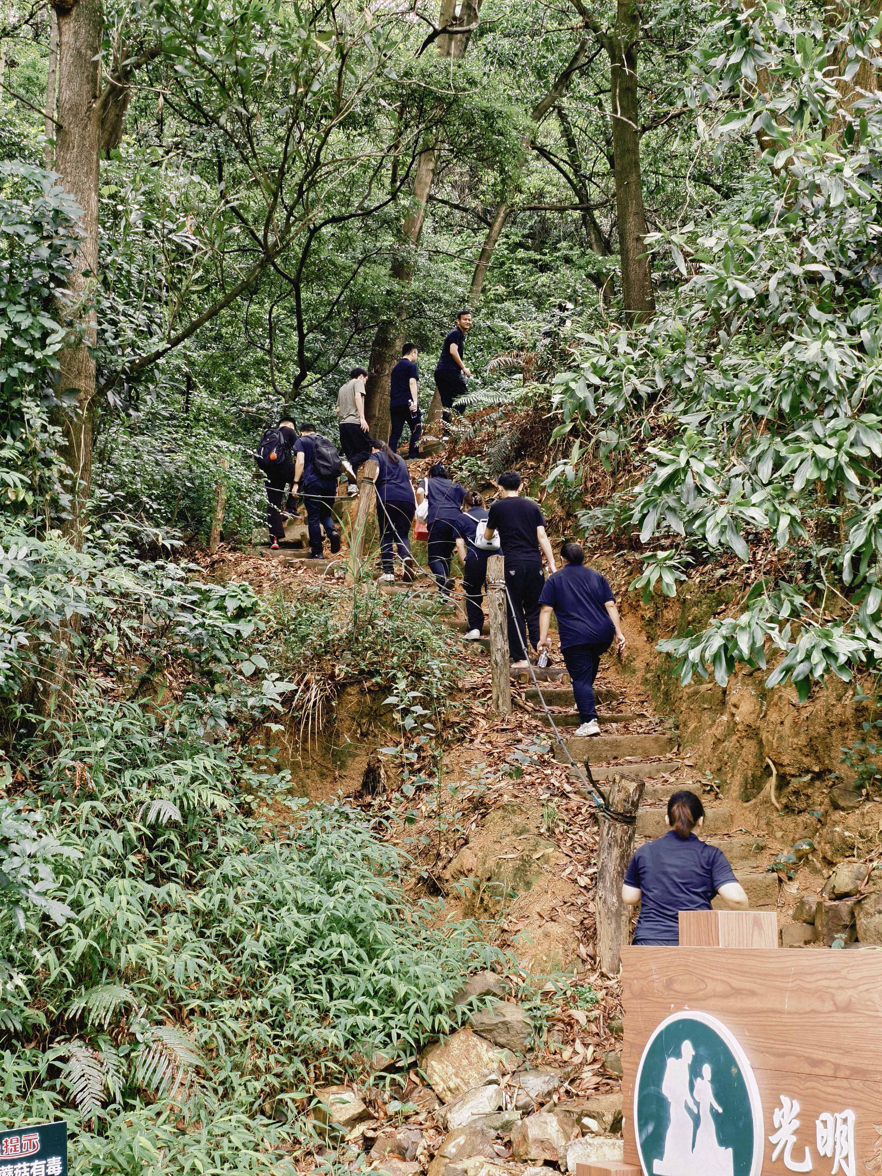 久信达科技公司员工齐聚光明区蠄蜍石，开启活力爬山之旅暨团建活动(图2)